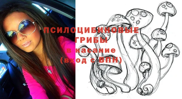 прущие грибы Богданович