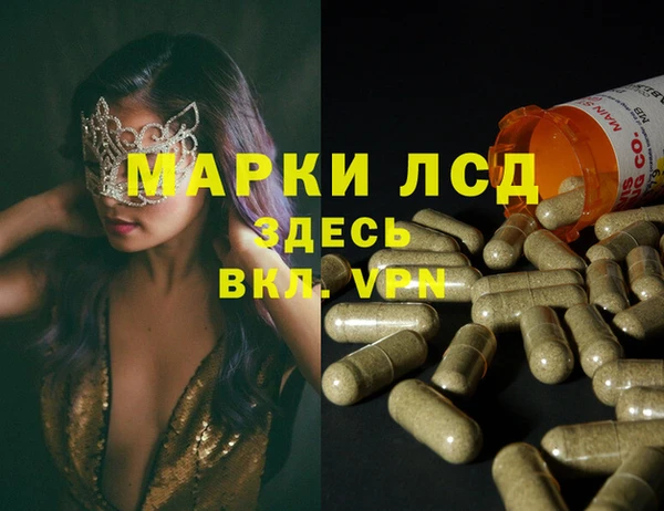 прущие грибы Богородск