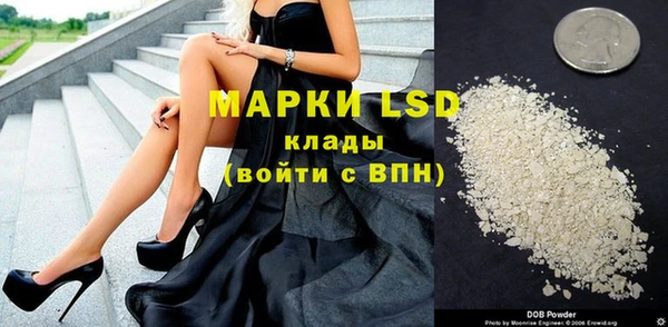 прущие грибы Богданович