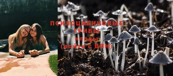 прущие крисы Белоозёрский